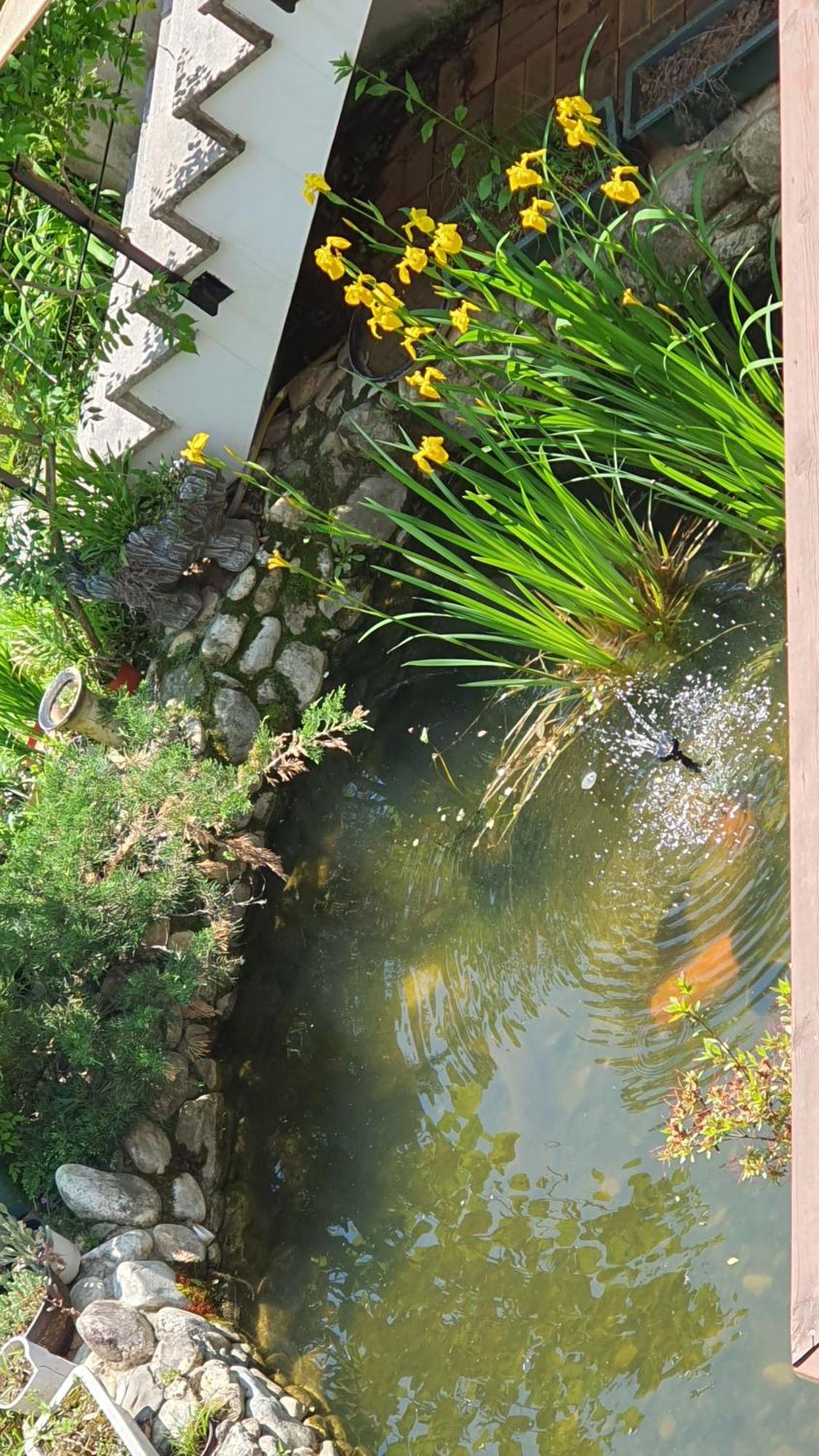 Villa Saint Paul De Vence Damyang Zimmer foto