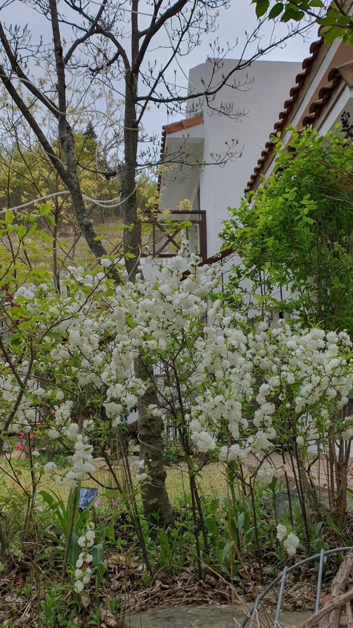 Villa Saint Paul De Vence Damyang Zimmer foto